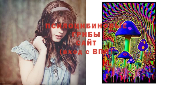 прущие крисы Горячеводский