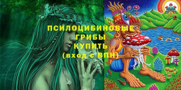 2c-b Переславль-Залесский