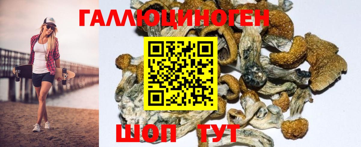 Псилоцибиновые грибы GOLDEN TEACHER  Вход с VPN  Баксан 