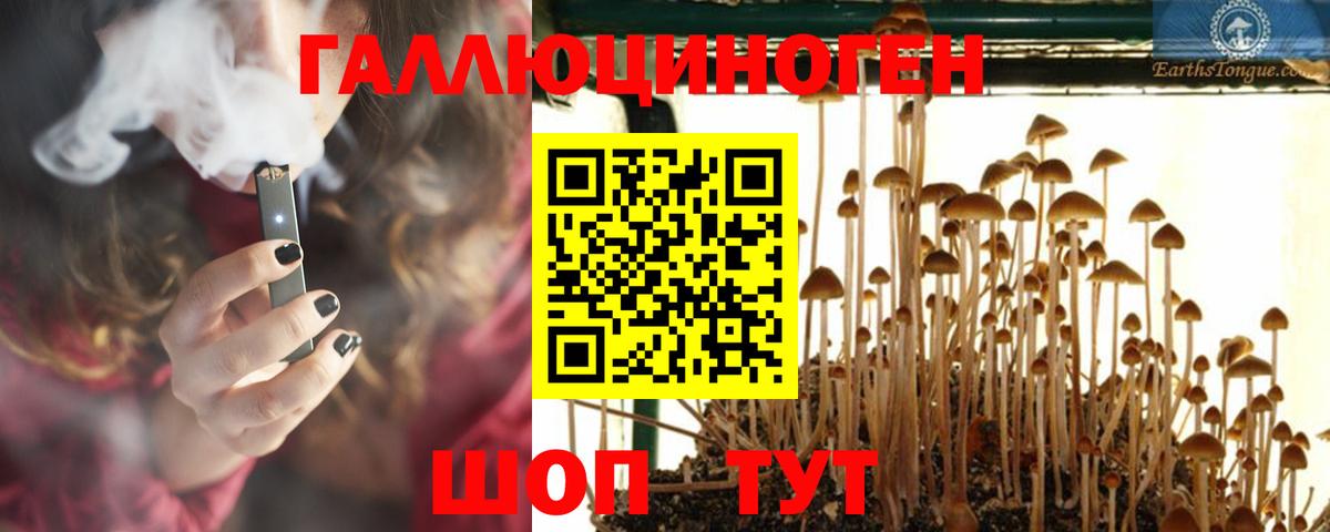 Галлюциногенные грибы Cubensis  Баксан  Галлюциногенные грибы прущие грибы 