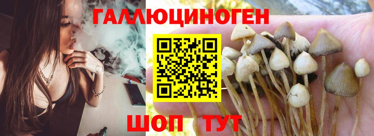 КОКАИН  ГАШИШ  Меф  ГАШ  Вход с VPN  Как найти наркотики?  Кислота  Марихуана  Баксан  Мяу-Мяу 
